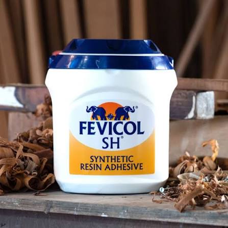 Fevicol & Adhesives